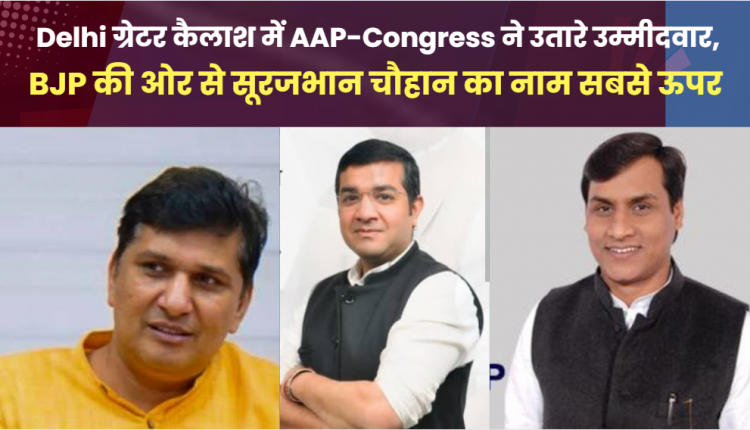 Delhi Vidhansabha Election 2024