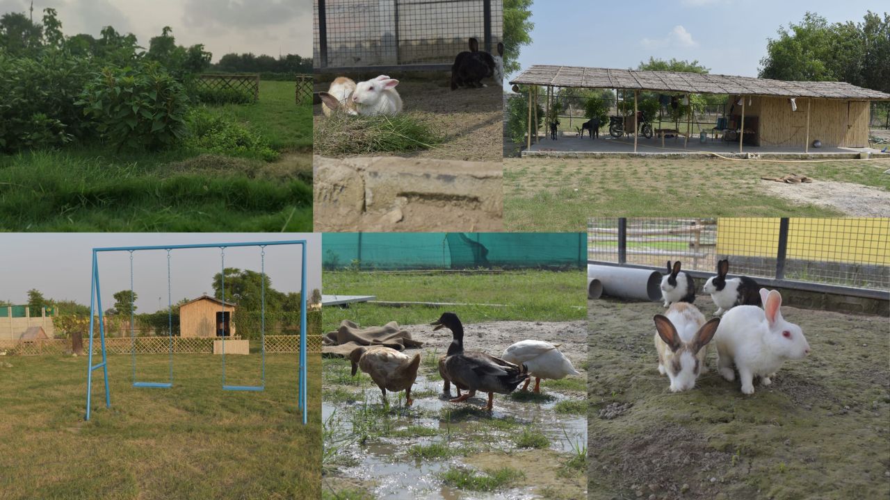 noida-farmhouse-wildooks-nature-experience